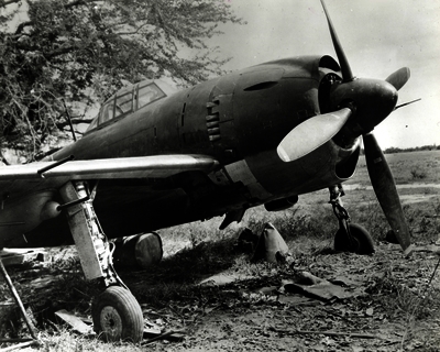 517ec01c078840.84831539