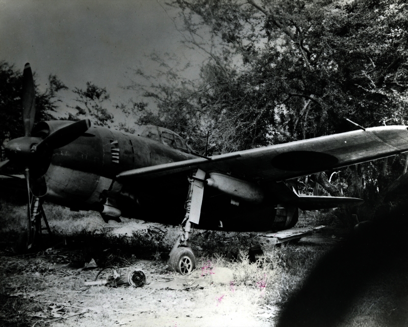 517ec027d3ae42.55302513