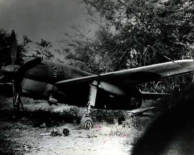 517ec027d3ae42.55302513