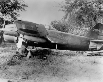 517ec0337c1163.17647695