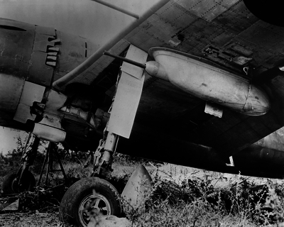 517ec03f2d26b7.89111541