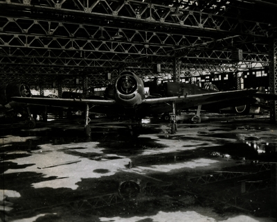 517ec04a902a42.00695913