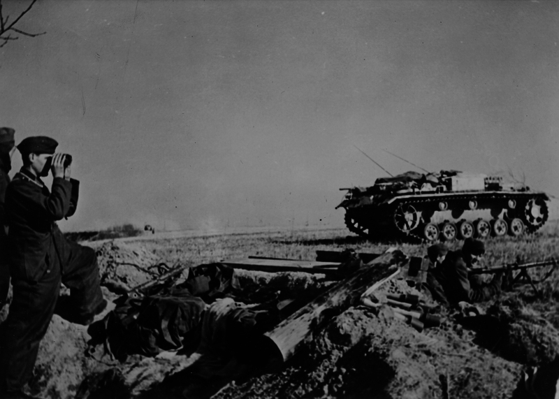 517ec0aec07657.01084663