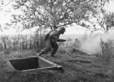 517ec0cc2b01e7.66527669