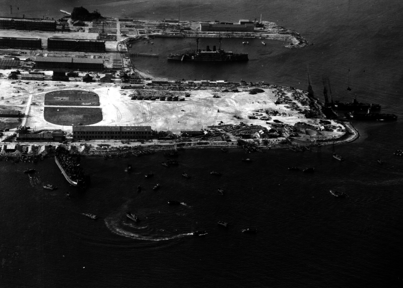 517ec1071d8d40.99552904