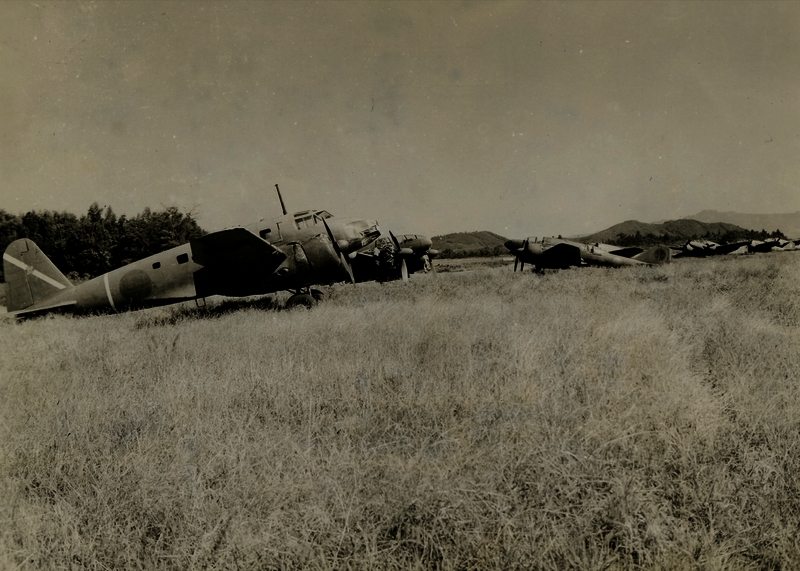 517ec426ad9ec0.89767642