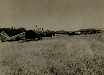 517ec426ad9ec0.89767642