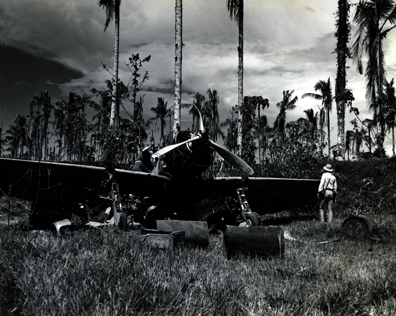 517ec4997583a4.68203218