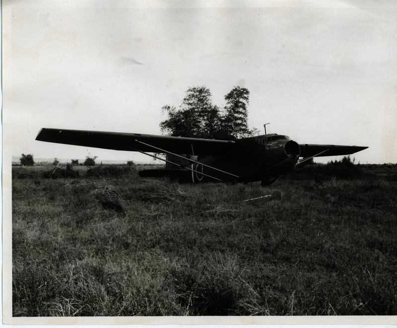 517ec5a8ba5db4.56756617