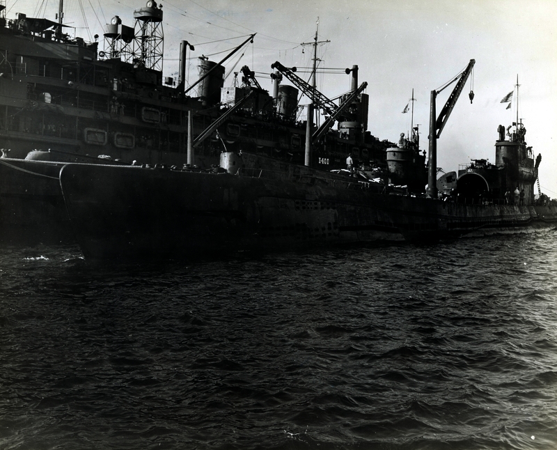 517ec5c1803997.40777030