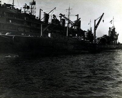 517ec5c1803997.40777030