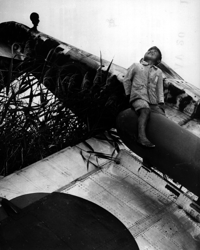 517ec5eb8340b2.21325800