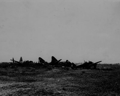 517ec6304d22e5.16712030