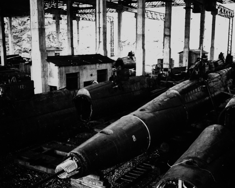 517ec6512ecad1.11237737