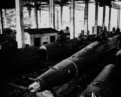 517ec6512ecad1.11237737