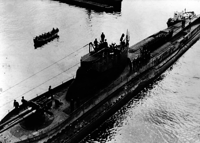 517ec65b8aee64.42199975