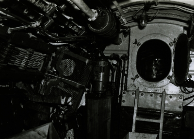 517ec6cdc651d6.89285878