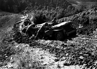 517ec72589a783.53889108