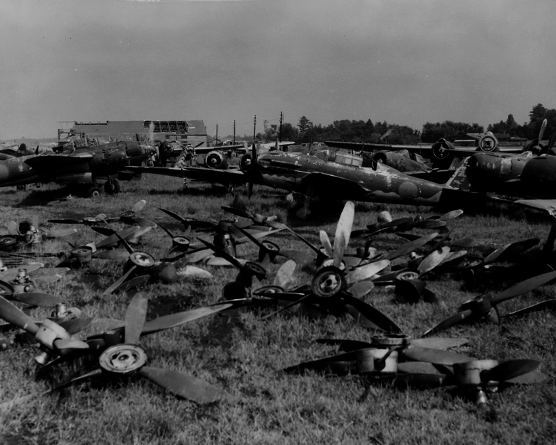 517ec795b4e8b7.03414550