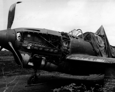 517ec79f826119.79601917