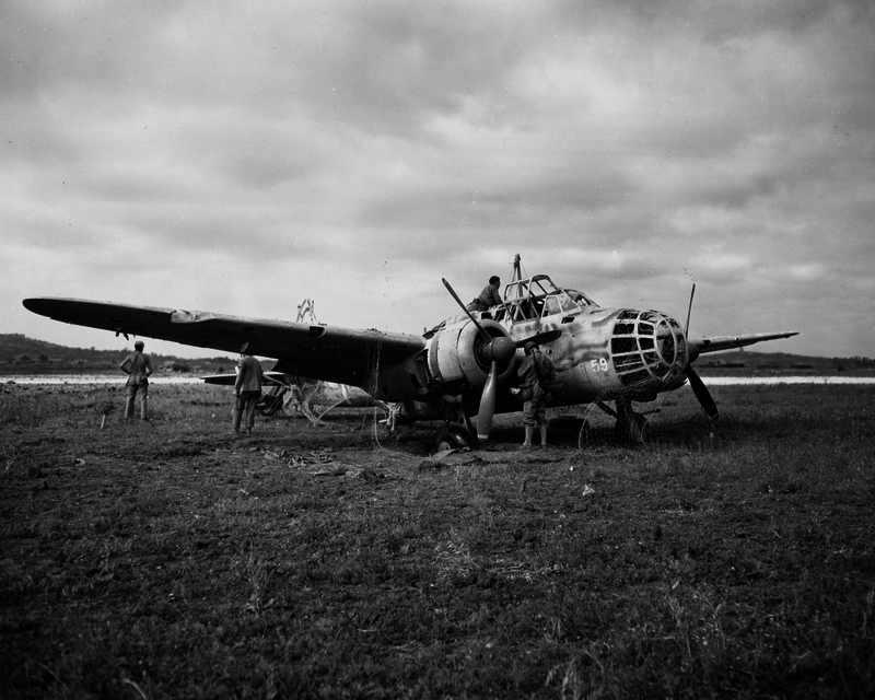 517ec7af56e437.95618593