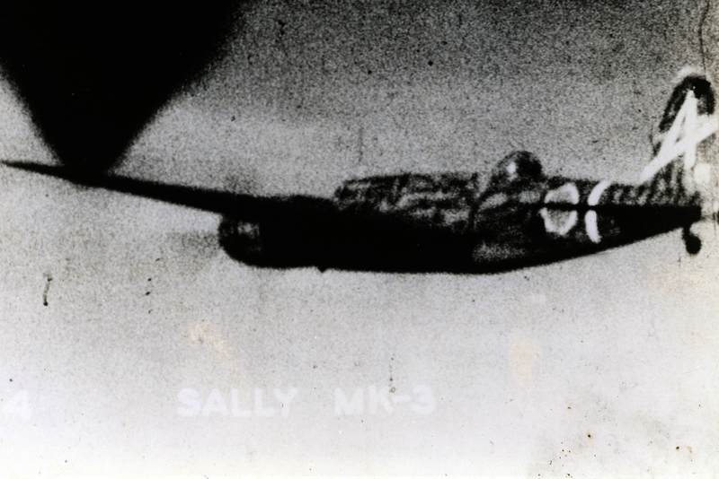 517ec821aebde3.68828209