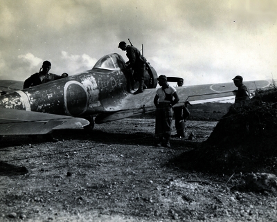 517ec8587912c0.05707269