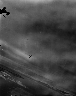 517ec863010982.92075105