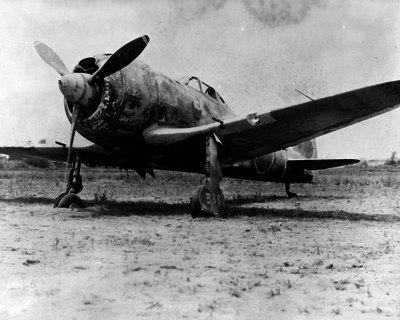 517ec873dc34c4.96377158