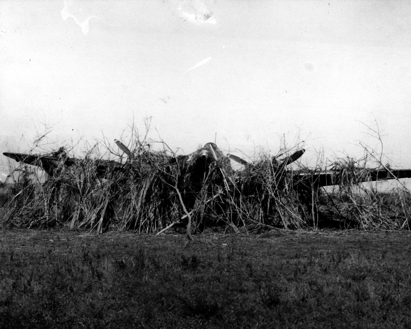 517ec8a0813057.53090679