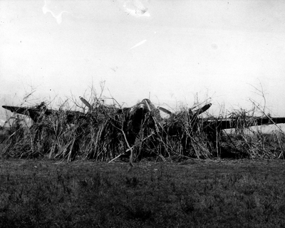 517ec8a0813057.53090679