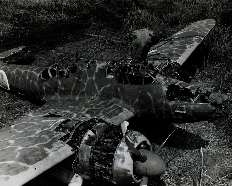 517ec8d5c0e695.67769059