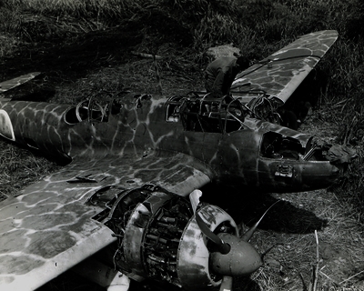 517ec8d5c0e695.67769059