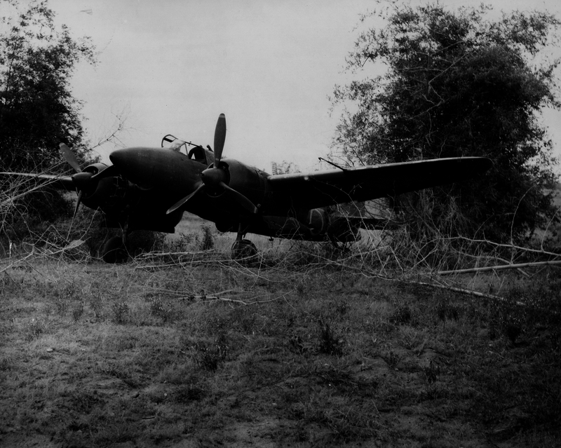 517ec8ed0d92b5.24894355