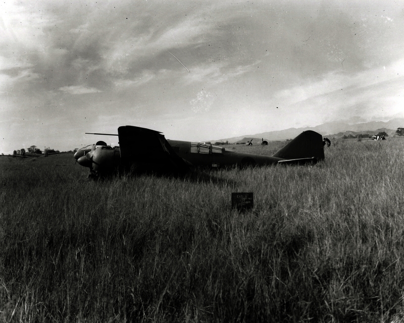 517ec957805318.89564645