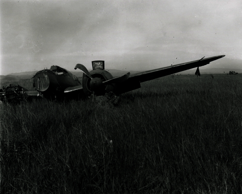 517ec961467e58.46973824