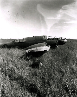 517ec96ab4c095.75978130