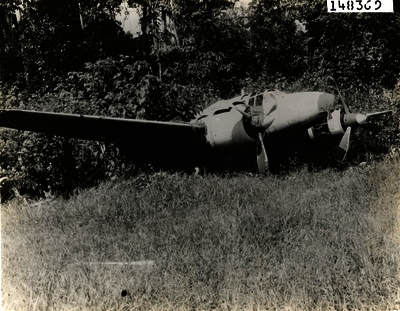 517ec9a050ff77.39403047