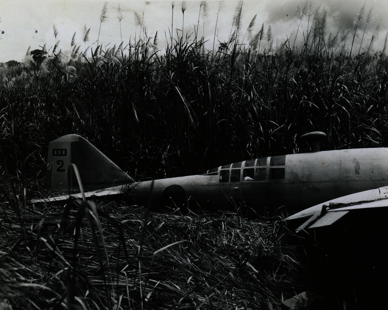 517ec9b8b3f241.75757360