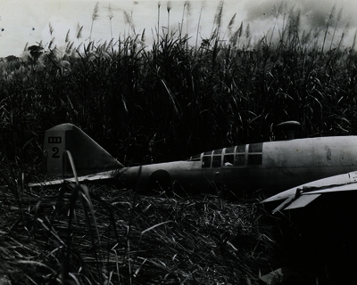 517ec9b8b3f241.75757360