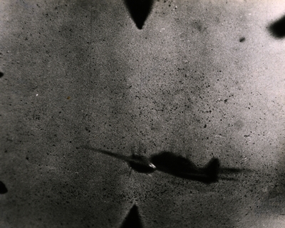 517ec9c4714124.05717858