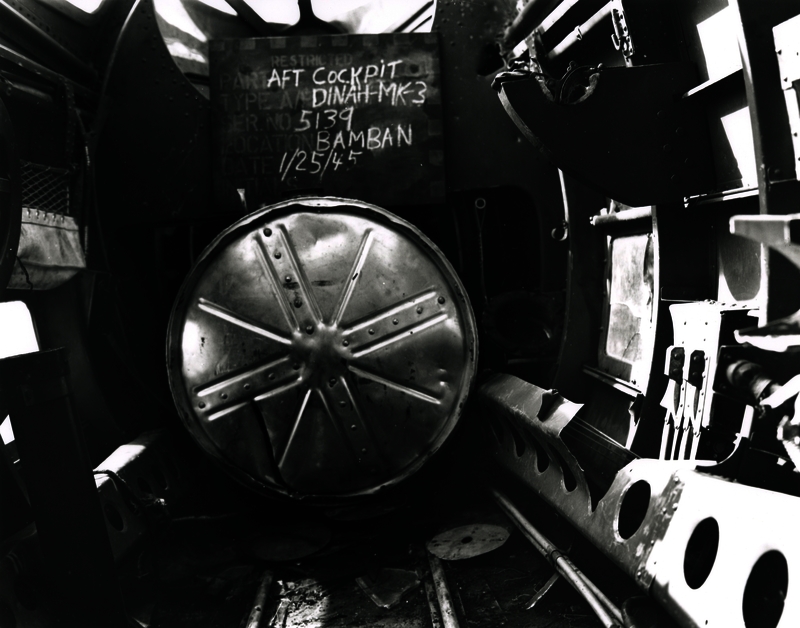 517ec9f0e31f19.81694072