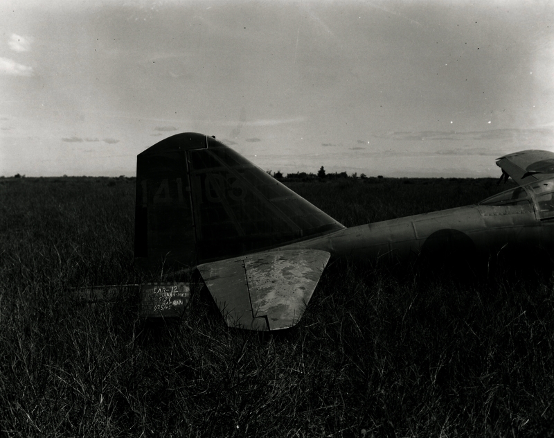 517eca03421dc3.83061938