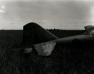 517eca03421dc3.83061938