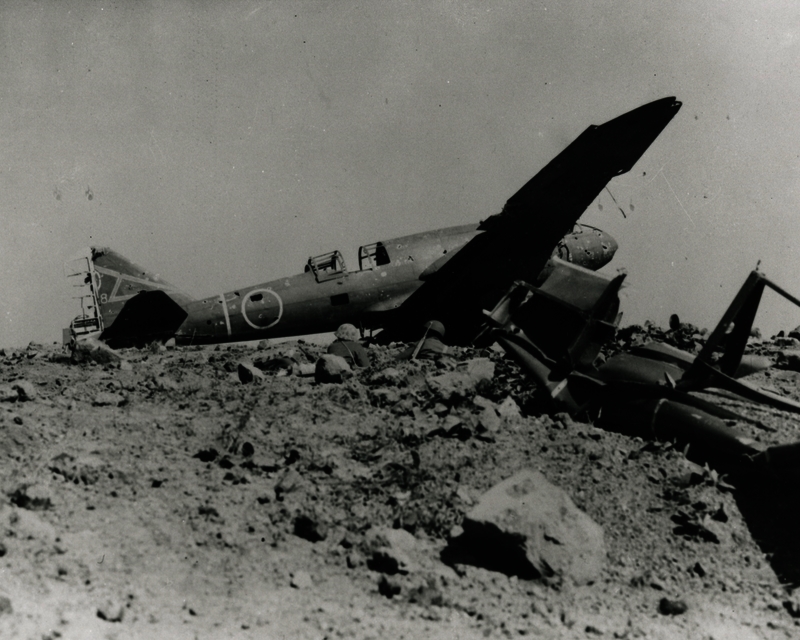 517eca1002a763.70001062