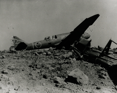 517eca1002a763.70001062