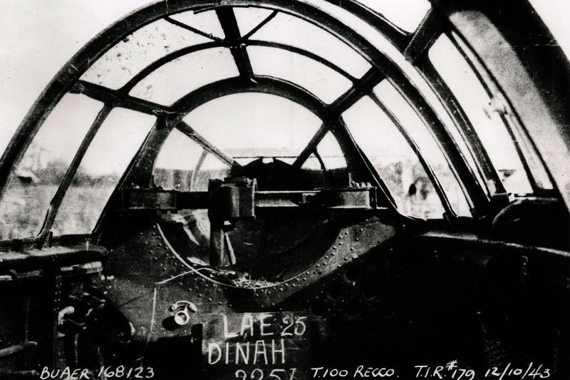 517eca515a99f4.08184663