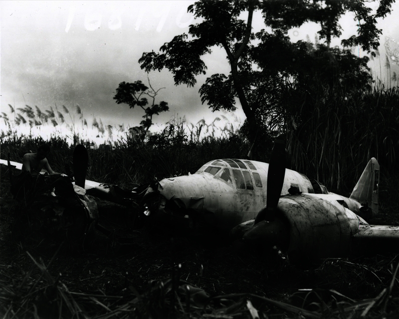 517eca61579451.93682615