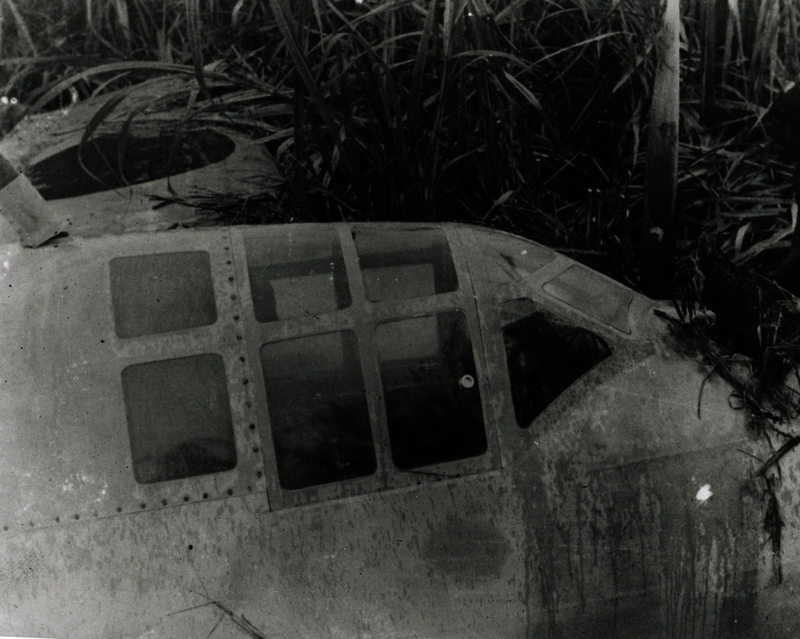 517eca6c41a0e3.45284638