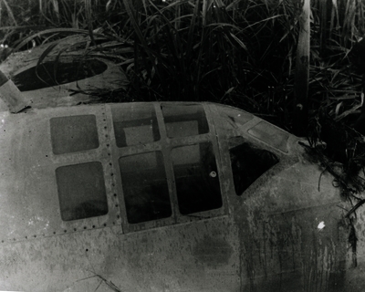 517eca6c41a0e3.45284638